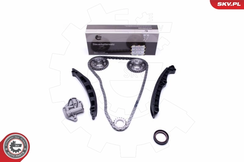Timing Chain Kit